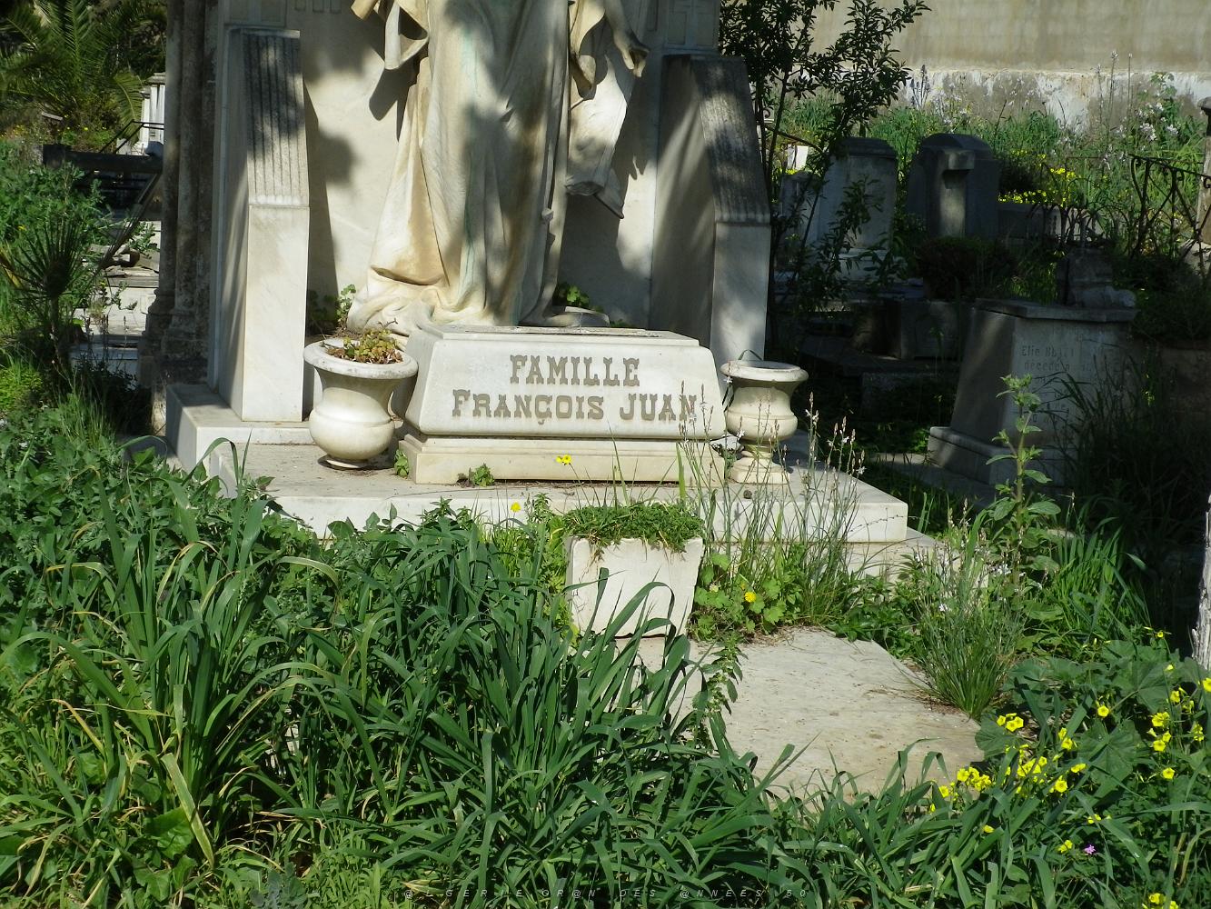 CIMETIERE DE TAMAZOUHET D ORAN EN MARS 2012  (156).JPG